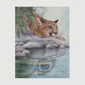 'Cougar Reflection' Canvas Print By Sue Coleman